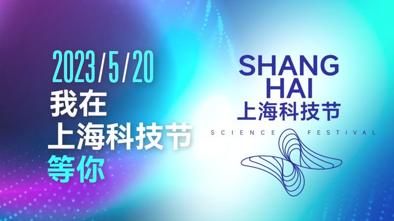 人工智能应用工具：揭秘批发价格背后的价值**